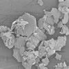 電子顕微鏡写真:二硫化タングステン（WS2）